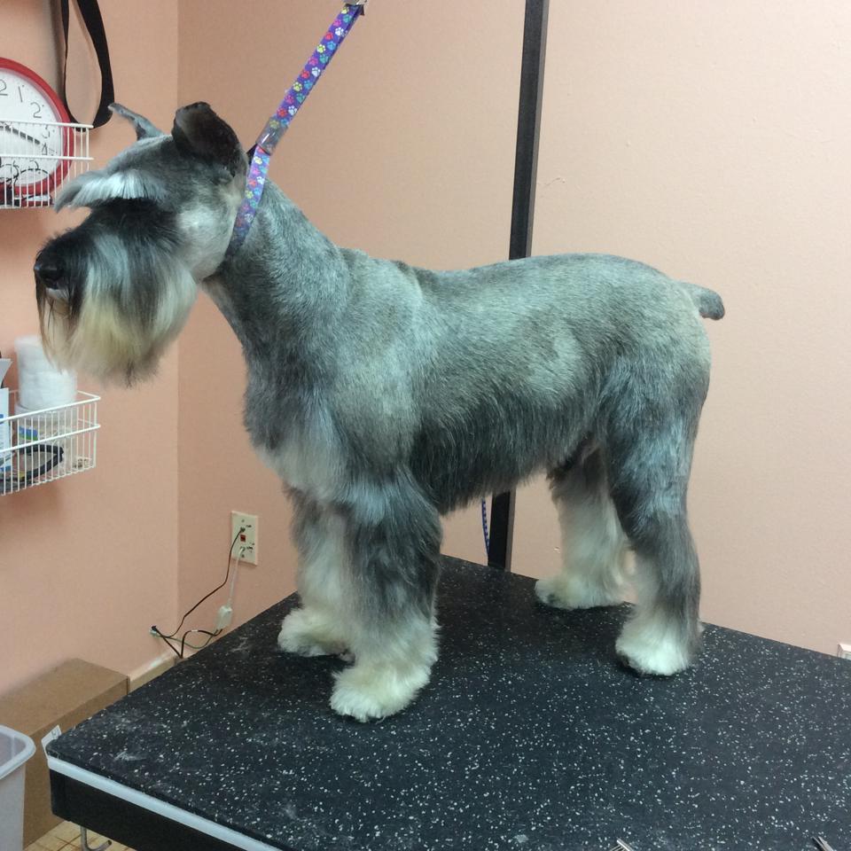 Pet Supplies, Kendall